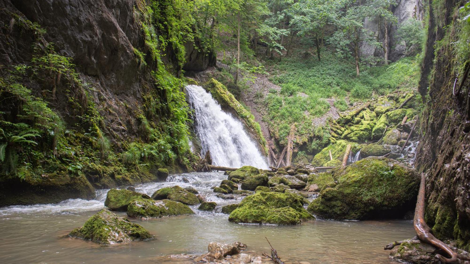 Apuseni Park Padis Hotel Bondoraszó Kültér fotó